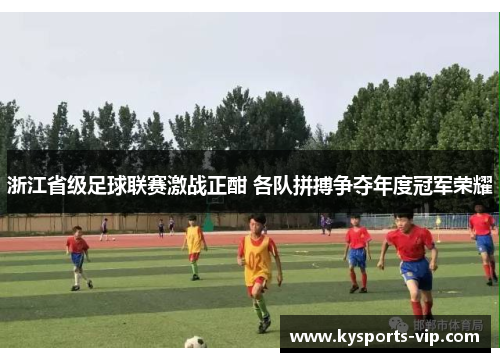 浙江省级足球联赛激战正酣 各队拼搏争夺年度冠军荣耀