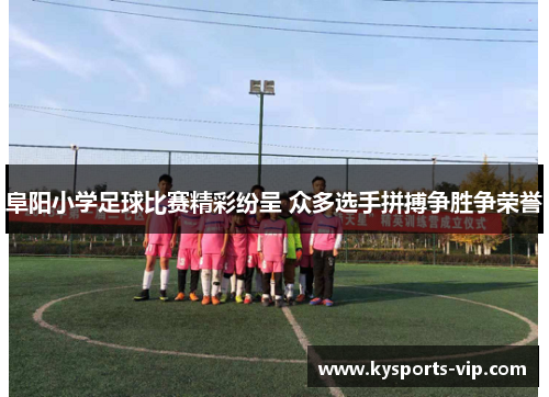 阜阳小学足球比赛精彩纷呈 众多选手拼搏争胜争荣誉